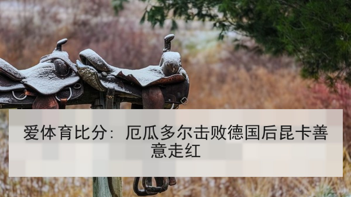 爱体育比分: 厄瓜多尔击败德国后昆卡善意走红