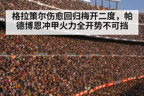 football stadium crowd