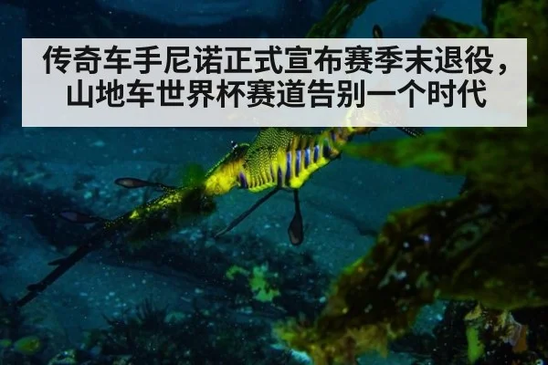传奇车手尼诺正式宣布赛季末退役，山地车世界杯赛道告别一个时代